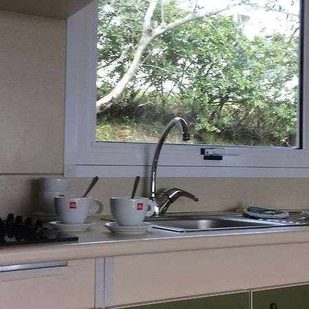 Camping Le Soline Casciano Di Murlo ห้อง รูปภาพ