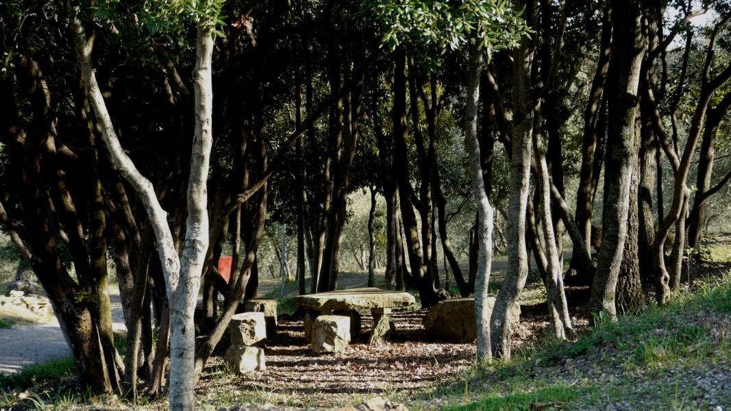 Camping Le Soline Casciano Di Murlo ภายนอก รูปภาพ