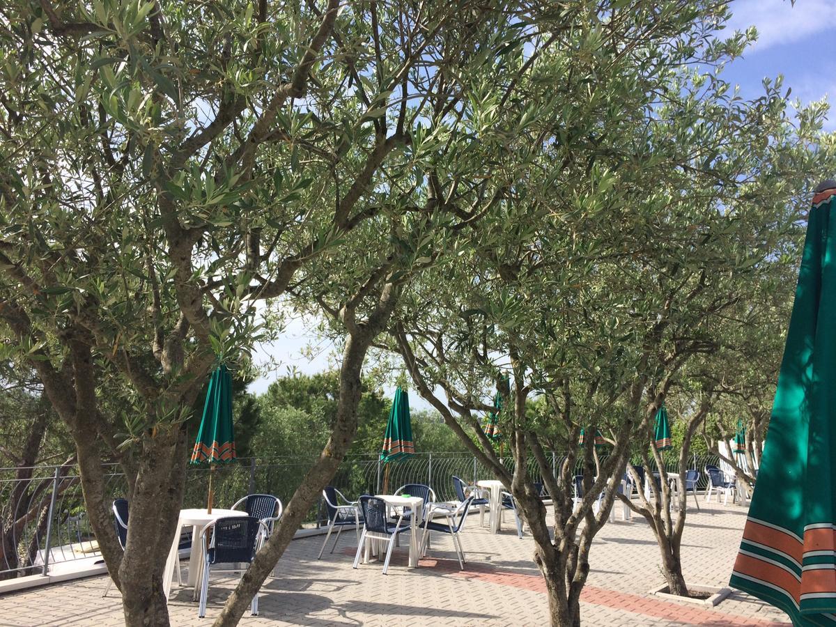 Camping Le Soline Casciano Di Murlo ภายนอก รูปภาพ
