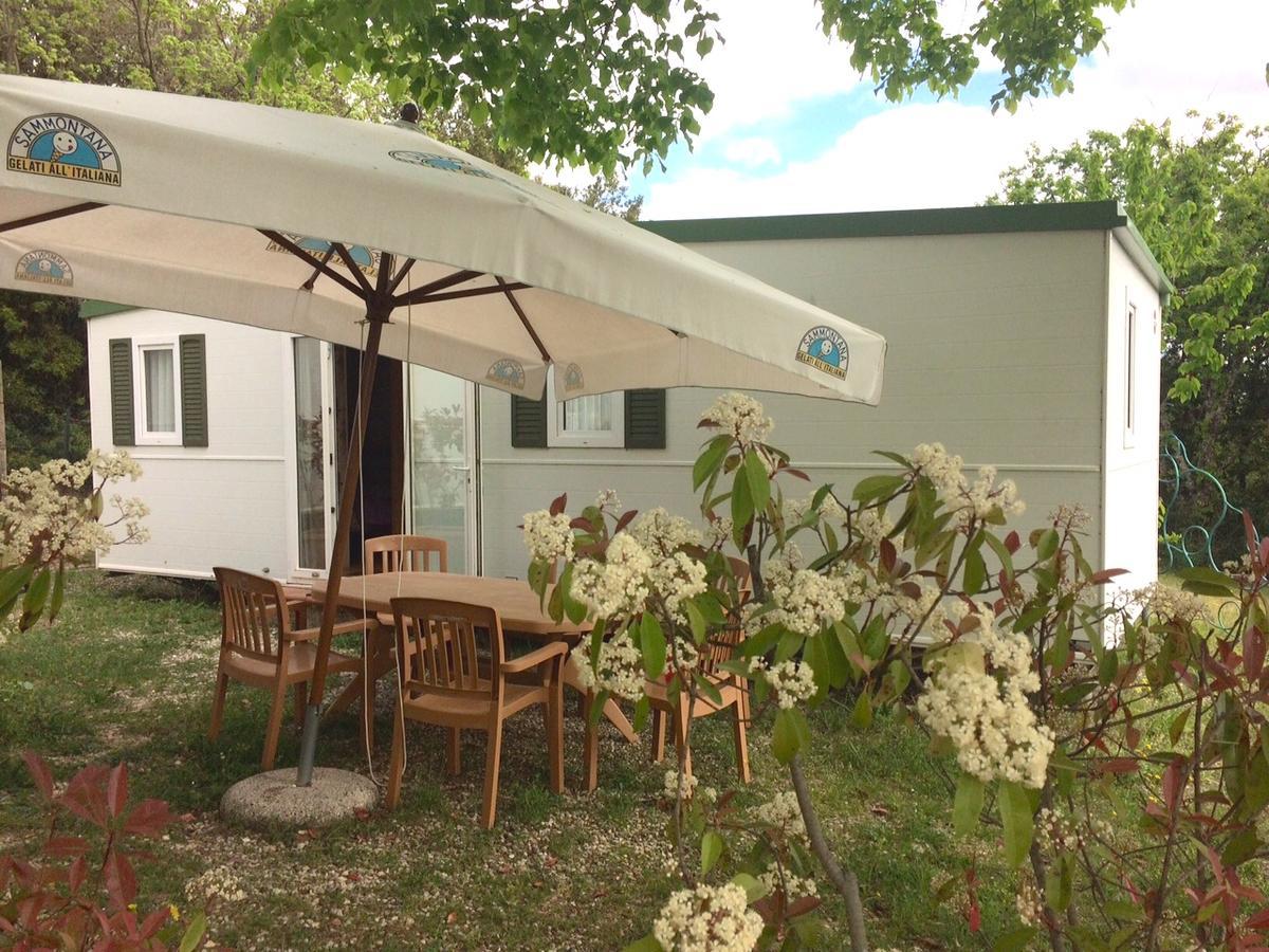 Camping Le Soline Casciano Di Murlo ห้อง รูปภาพ