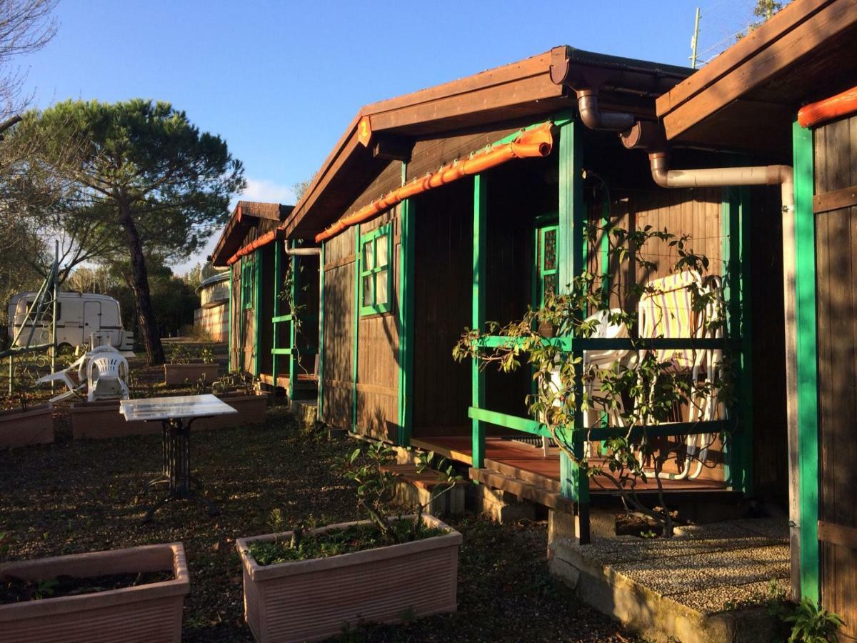 Camping Le Soline Casciano Di Murlo ภายนอก รูปภาพ