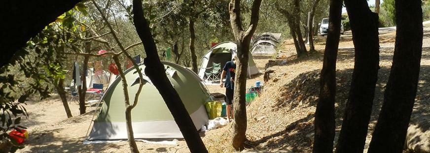 Camping Le Soline Casciano Di Murlo ภายนอก รูปภาพ