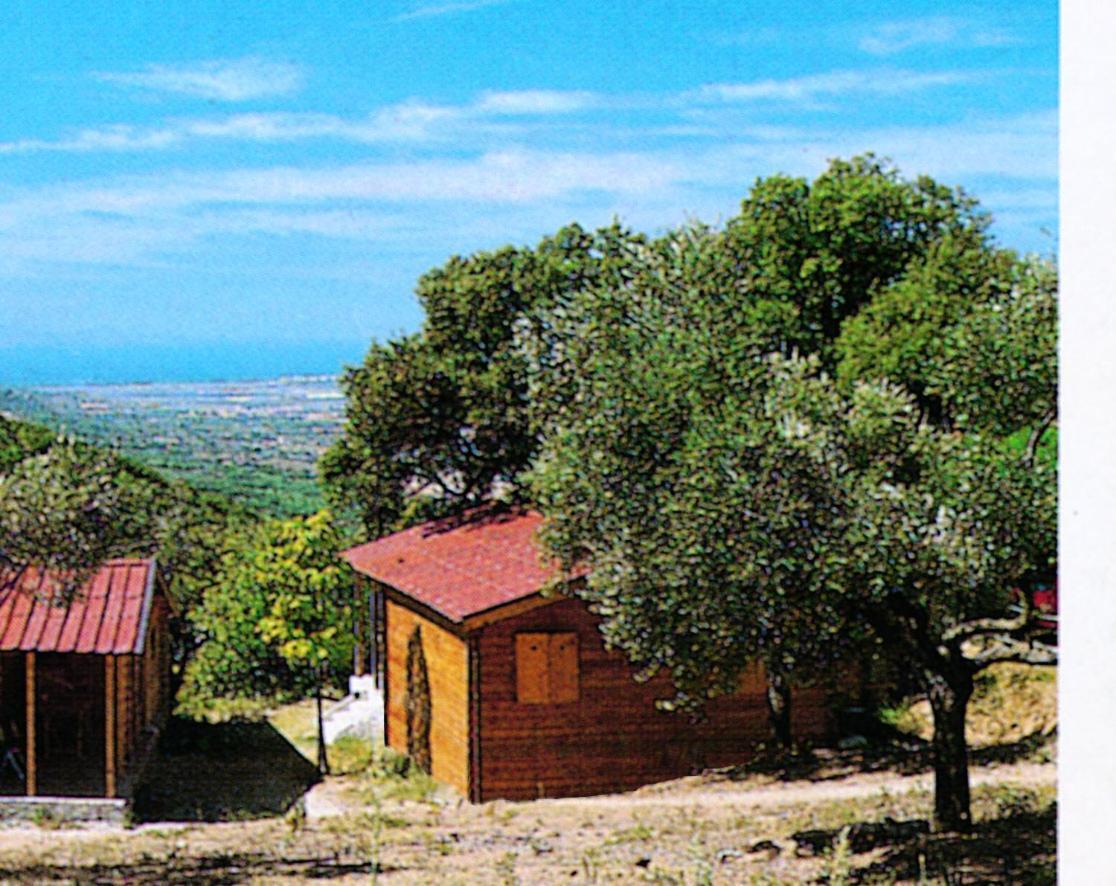 Camping Le Soline Casciano Di Murlo ภายนอก รูปภาพ